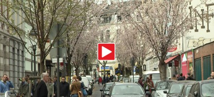 Kirschblütenfest Bonn