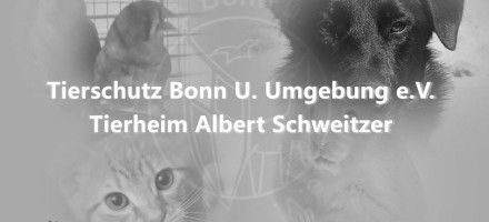 Tierheim Bonn- Thema: Die Ratte Speedy